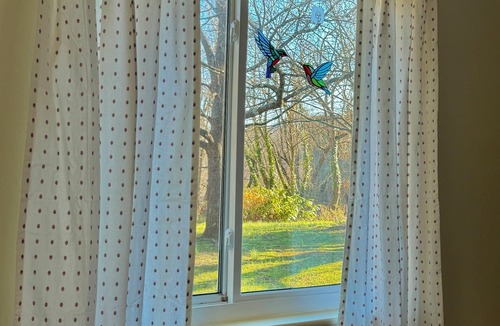 Asheville Cottage | Charming cottage, West Asheville, Bent Creek, Farmers Market, Biltmore, Hot tub