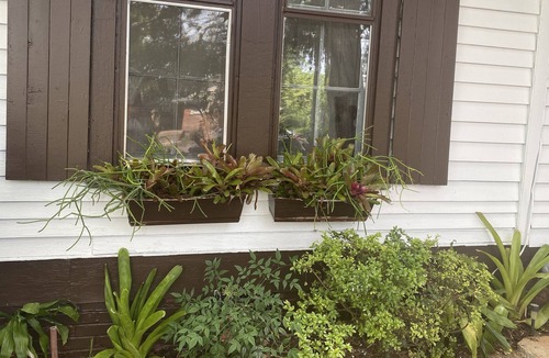Rutherfordton House | CHARMING DOWNTOWN HISTORIC HOME IN THE HEART Of IT ALL!!