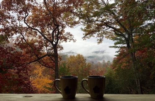 Bryson City Cabin | CHARMING LOG CABIN.Views.Secluded.Hot Tub.Game Room.Fire Pit.Close to Town