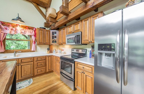 Brevard Cabin | Charming modern cabin near town and forest recreation. Storage for bikes.
