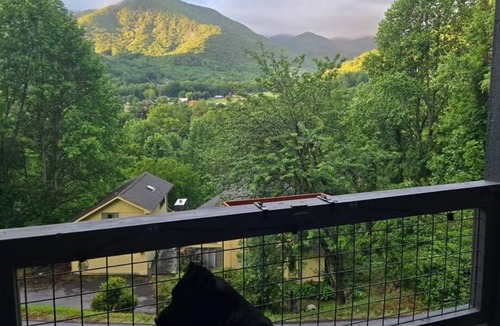 Valley Creek Run House | Charming Mountain Retreat in Maggie Valley