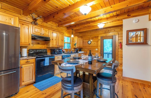Burnsville Cabin | Charming Mtn Cabin, Hot Tub+Fire Pit, Grill, 5 Min to Town, WiFi, Pet friendly!