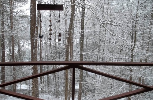 Brevard Cottage | Charming Sherwood Forest Cottage overlooking Trout Lake