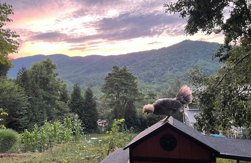 Candler Apartment | Charming studio near National Forest trails; convenient to downtown Asheville