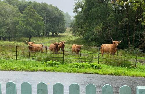 Dalmally Bed & Breakfast | Cladich House Bed & Breakfast