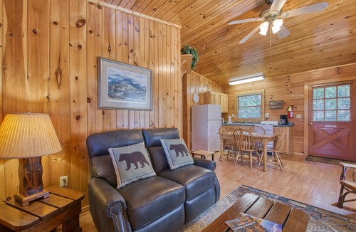 Waynesville Cabin | Classic lake cabin with WiFi, deck, kitchen, partial AC - dogs OK