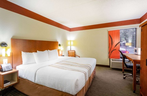 Toddville Road Hotel | CLT Airport Inn & Suites
