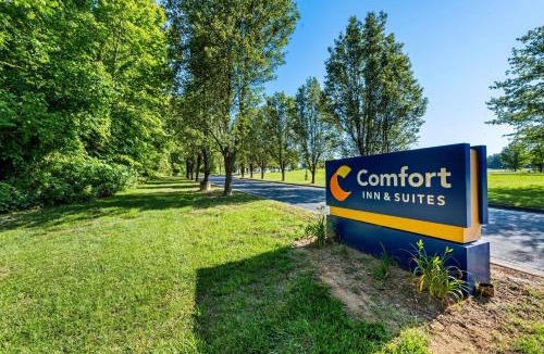 Oxford Hotel | Comfort Inn & Suites Oxford South