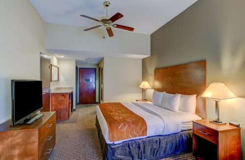 Durham Hotel | Comfort Suites Raleigh Durham Airport/RTP
