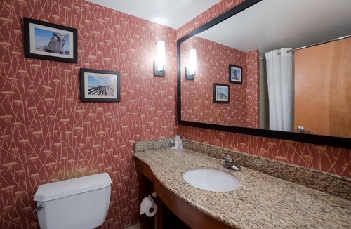 Norfolk - Virginia Beach Hotel | Comfort Suites Suffolk - Chesapeake