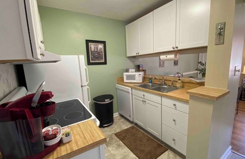 Downtown Condo | Convenient to Duke Hosp/Univ & Walkable to DT
