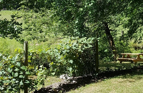 Penrose RV Rental | "Coop-Ahhh Cabana" ! "Glammock" campsite near Dupont State Forest!