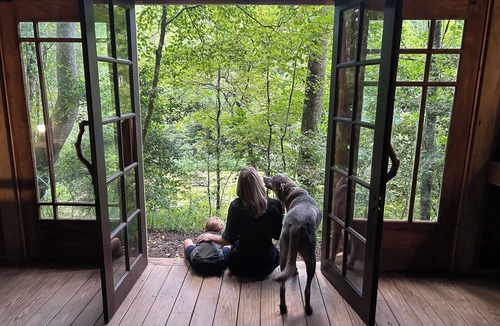 Zirconia Cabin | Corn Crib- 38 acres- hiking, mountain biking, waterfall