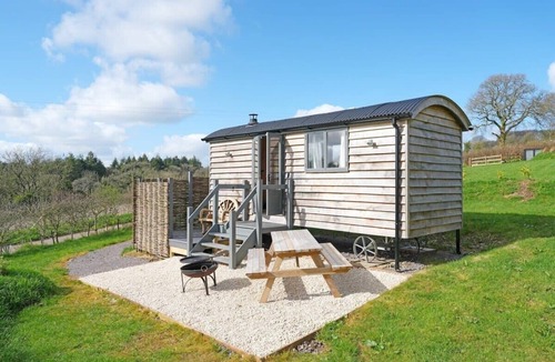 Sidmouth Cabin | Cosy Hut with Sea Views & Outdoor Shower