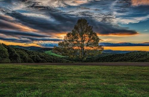 Glenville House | Cottage at Casuarina Lodge - Luxury, Pet Friendly