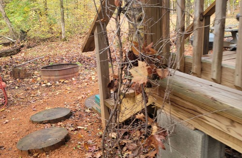Linden Cabin | Country Sunshine Cabins
