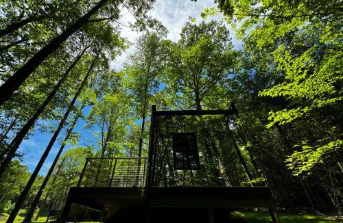 Balsam Grove House | Couples Mirror Cabin -Looking Glass at Valley Bear Farms Resort