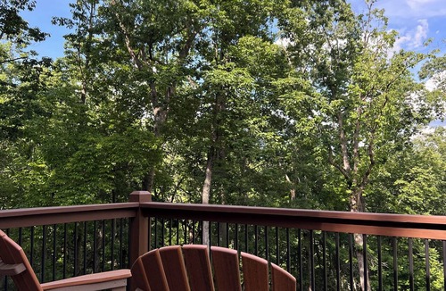 Fletcher Cabin | Cozy 1-bedroom cabin w/high quality finishes & amenities