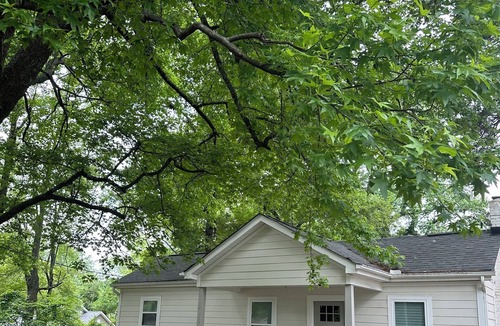 Hidden Valley House | Cozy and Charming Haven near NoDa