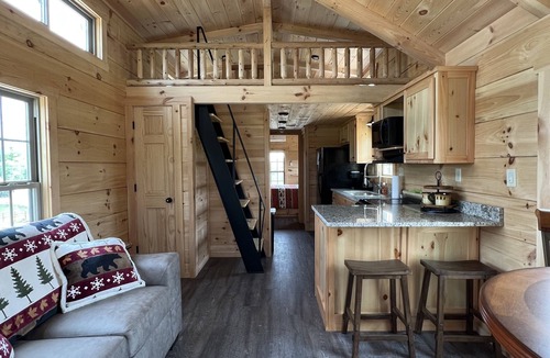 Boone Cabin | Cozy Bear Haven: Tiny Cabin, Incredible View!