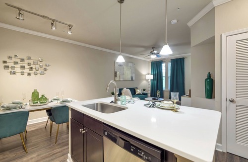 Durham Apartment | Cozy, beautifully decorated apartment!