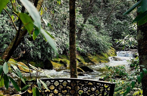Robbinsville Cabin | Cozy Cabin next to Creek with Private Waterfall, Lake Access and Hot tub.