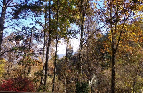 Asheville Cabin | Cozy cottage in mountains 2.2 miles from downtown or 10 dollars on uber