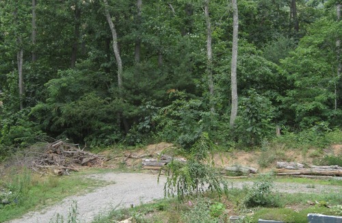Asheville Apartment | Cozy country studio apt 5 mins to downtown Asheville.