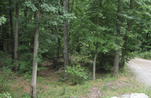 Asheville Apartment | Cozy country studio apt 5 mins to downtown Asheville.
