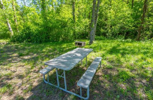 Vein Mountain House | Cozy Cove Cabin Pet Friendly & Creek Access