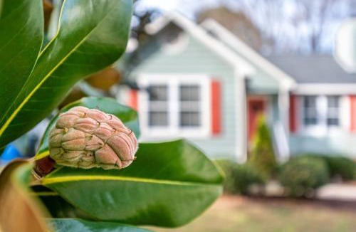 Raleigh House | Cozy Pet friendly home-Raleigh