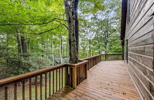 West Jefferson House | Cozy Secluded Family Retreat, Pet Friendly, Fast Wifi 15 Mins to Downtown WJ