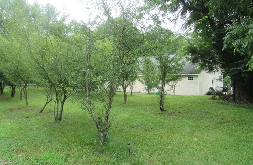 Concord Apartment | Cozy Studio Country Peaceful Charm Concord 2 Minute to Cabarrus Arena