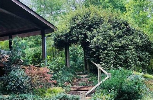 Tryon Cabin | Craftsman Style Log Cabin