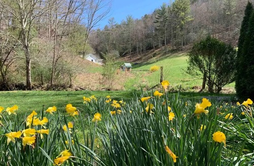 Burnsville House | Creekside Cabin skiing/hiking & Appalachian Trail.
