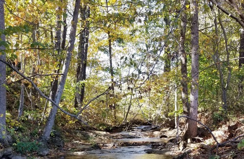 Woolwine RV Rental | Creekside Stargazer Tent Farmstay
