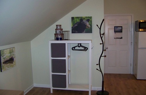 Leicester Apartment | Critter Hill Studio Apt. close to downtown Asheville and the Blue Ridge Parkway