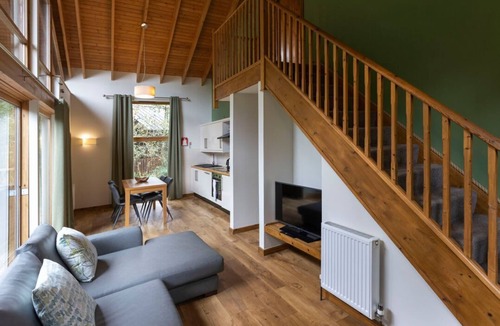 Herodsfoot Cabin | Deerpark Classic Silver Birch, Deerpark Forest