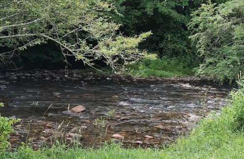 Andrews RV Rental | Delightful campground in Andrews on the river.