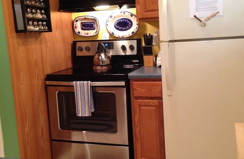 Fleetwood House | Deluxe Bargain Priced 2/2 Mtn Home Near Blue Ridge Pky w/Outdoor Fireplace WIFI
