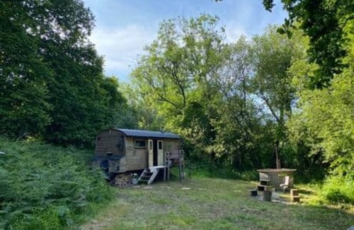 Liverton Cabin | Dingle Glenn secluded woodland cabin