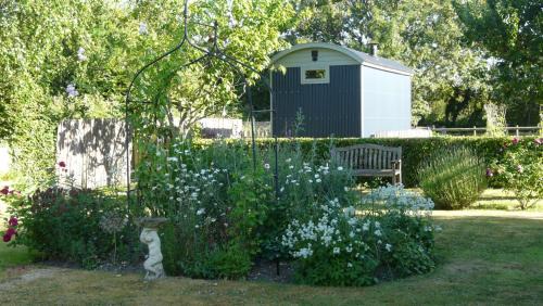 Ibsley Bed & Breakfast | Dolly at Lowlands