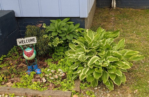 Brevard House | Downtown Bungalow! Dog Friendly - WIFI!