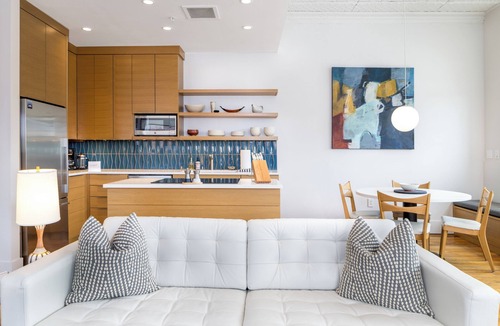 Downtown Asheville Apartment | Downtown luxury contemporary residence 202