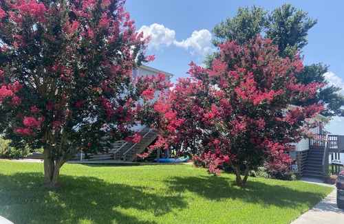 Edenton House | East of Edenton! Romantic sunset waterfront getaway on the Albemarle Sound!