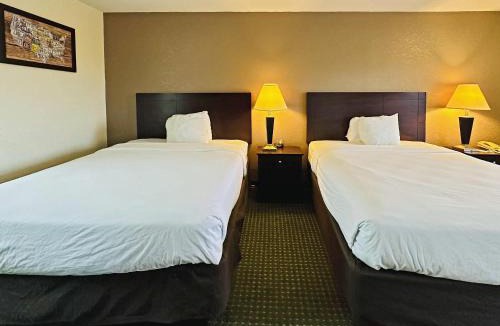 Kannapolis Cabin | Econo Lodge