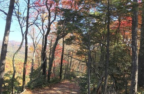 Apple Ridge Villa | Elkhorn Rustic Blowing Rock Cabin Amazing Views