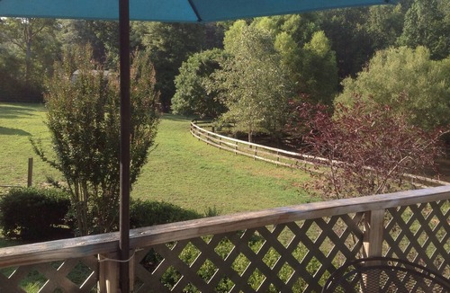 Columbus Apartment | Equestrian apartment ten minutes from Tryon International Equestrian Center