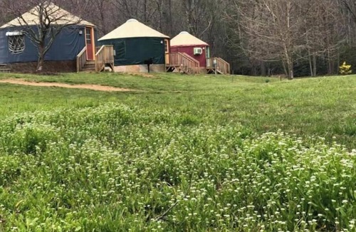 Candler Apartment | Evening Shade - Yurt 4