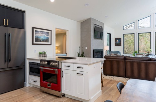 Mills River House | Falling Waters Cabin | Sleek & Stylish One Level Living